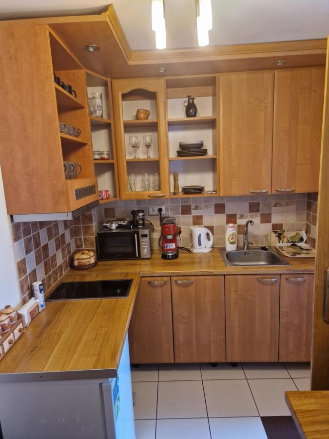 Balassi Apartment -With Green Terrace&Bike Štúrovo エクステリア 写真
